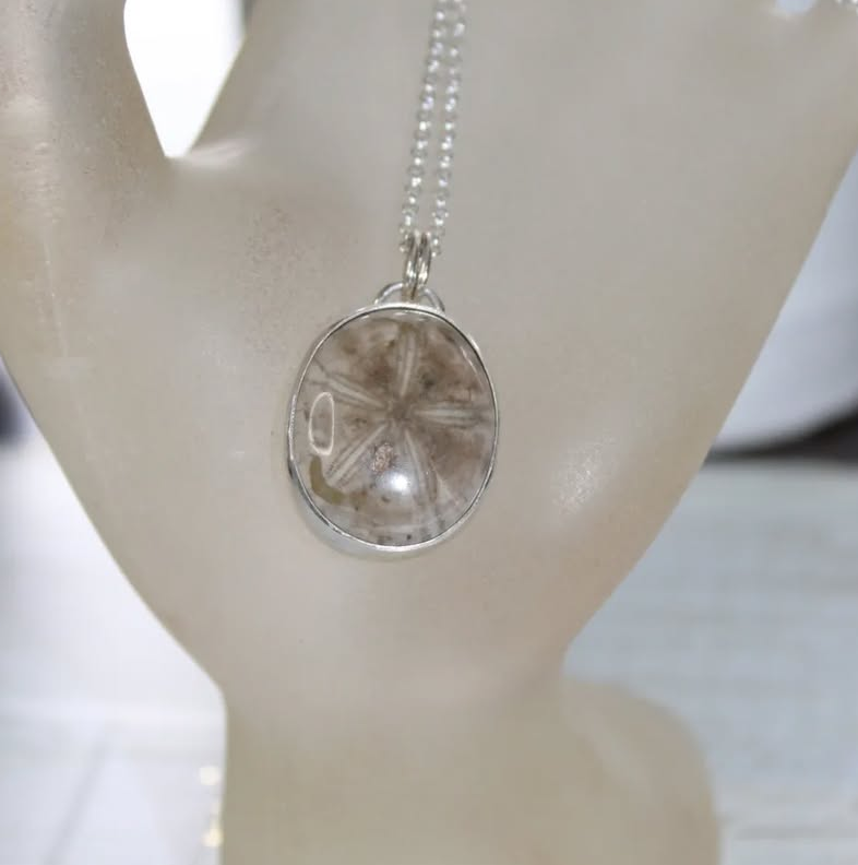 Fossilized Sand Dollar Necklace