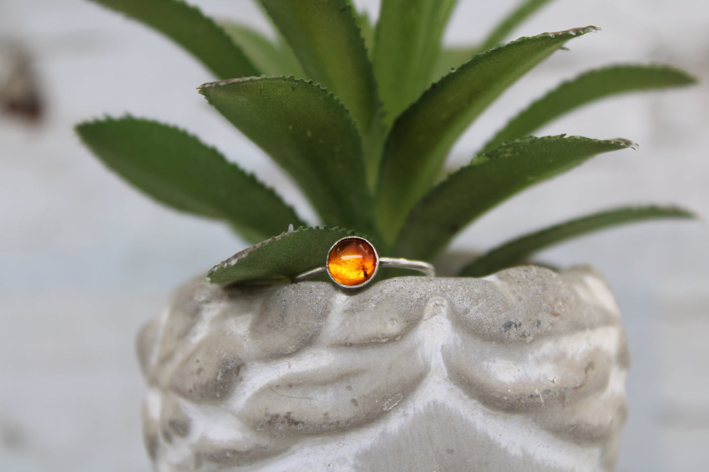 Amber RIng