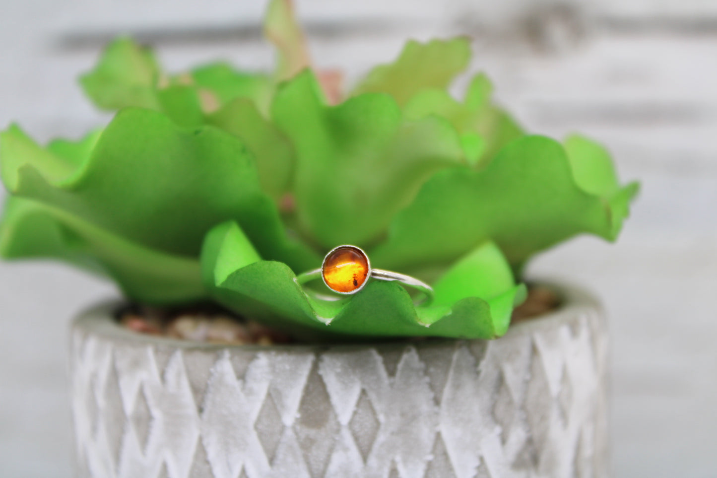Amber RIng