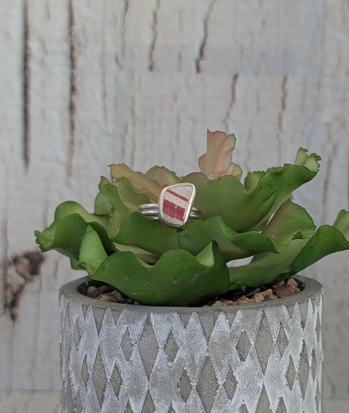 Red and White Sea Pottery Ring