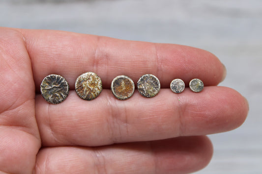 Reticulated Disc Studs